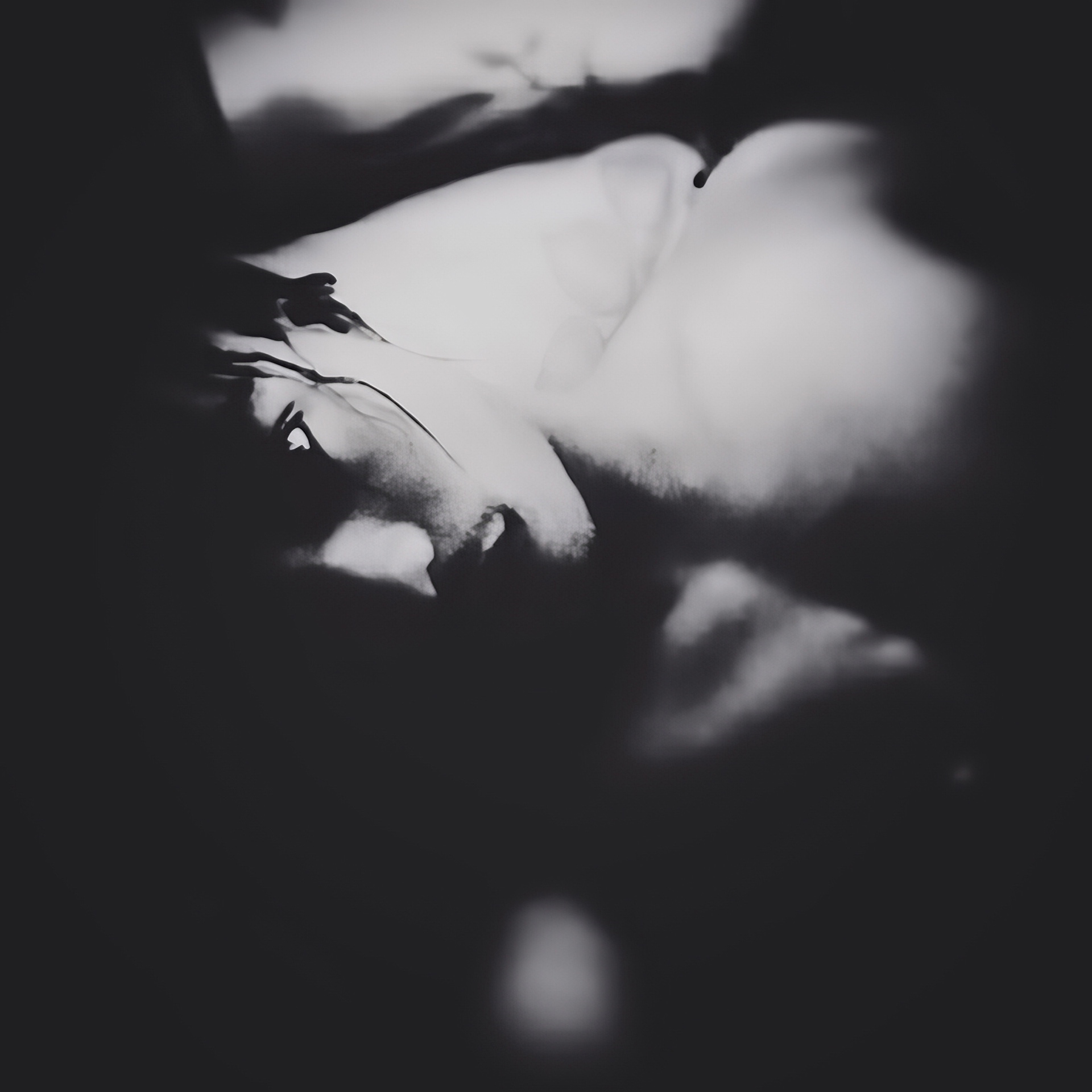 In Shadow
